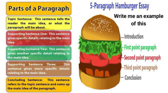 Point Paragraph Parts of a Paragraph Topic Sentence This | StudyX
