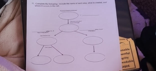 11 Complete the following include the name | StudyX