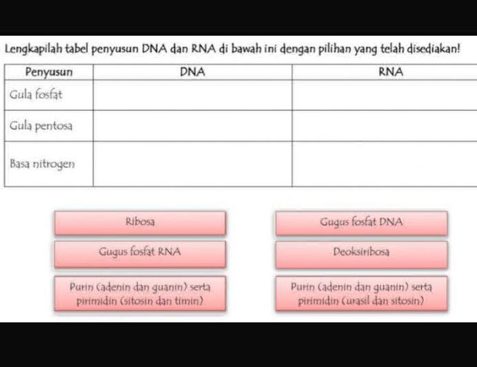 Lengkapilah tabel penyusun DNA dan RNA di | StudyX