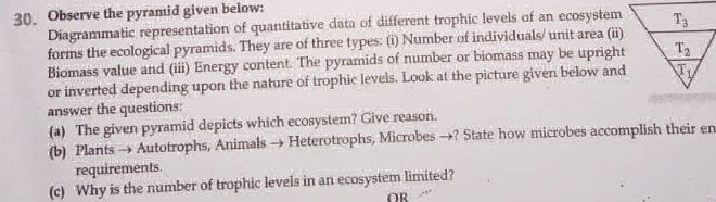 Quantitative Pyramid Introduction 30 Observe the pyramid given below | StudyX