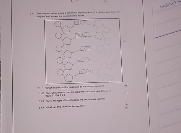 21 The diagram below shows a schematic | StudyX