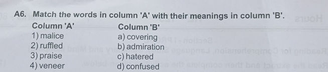 A6 Match the words in column A with their | StudyX