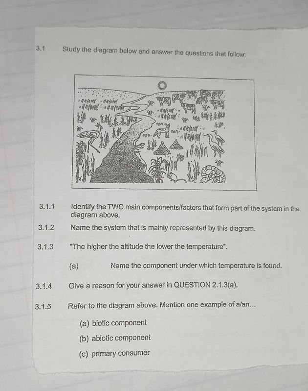 31 Study the diagram below and answer the | StudyX