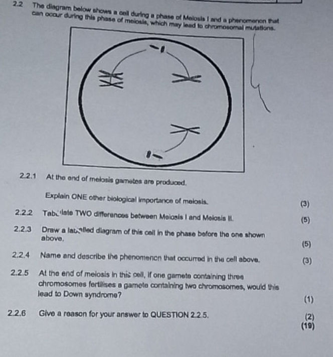 22 The diagram below shows a cell during a | StudyX