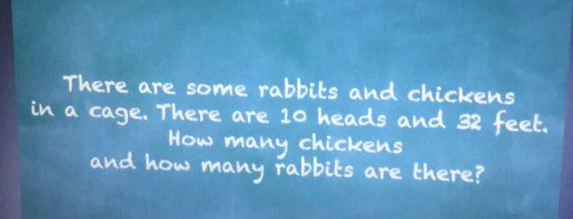 There are some rabbits and chickens in a
