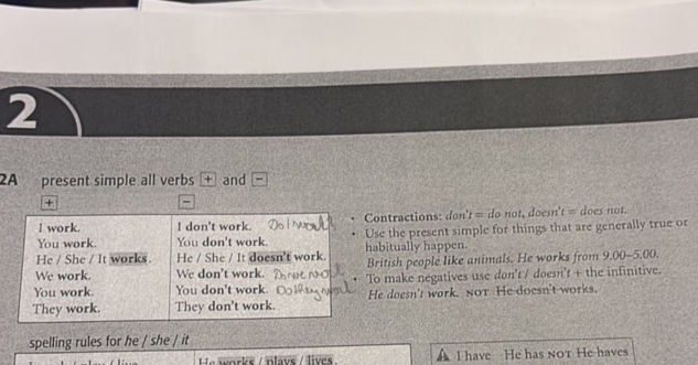 2A present simple all verbs + and - + I work