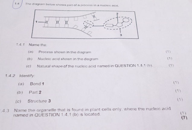 The diagram below shows part of a process in | StudyX