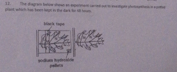 12 The diagram below shows an experiment