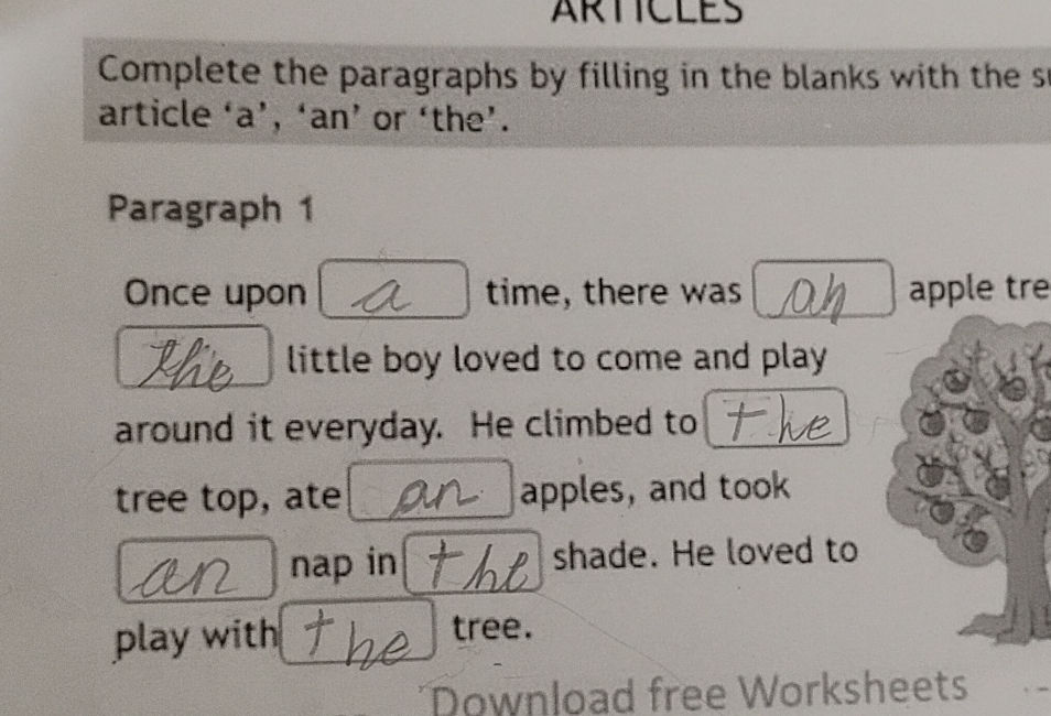 Complete the paragraphs by filling in the | StudyX