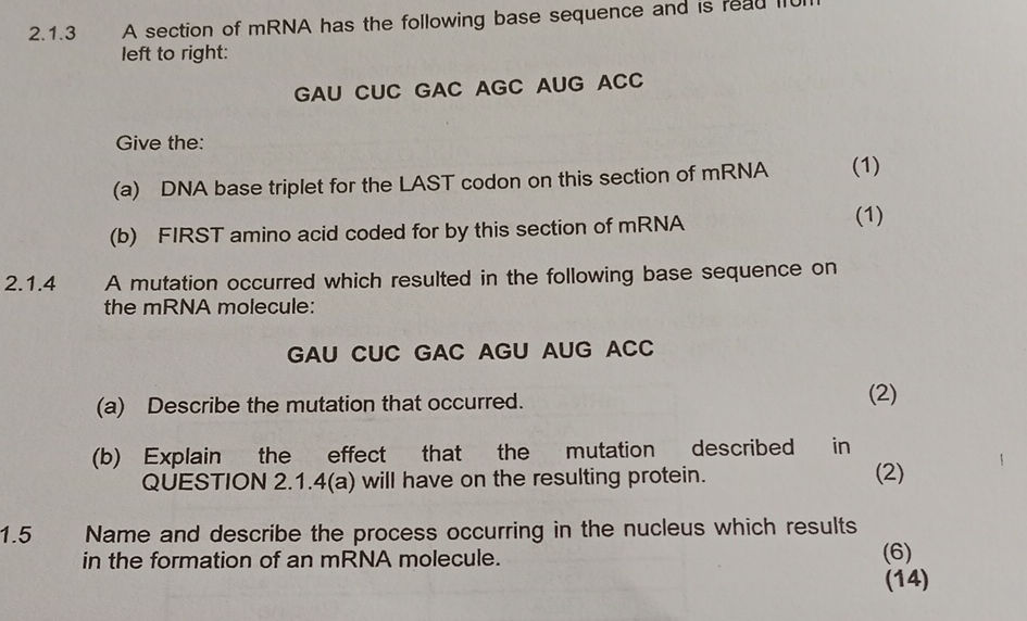 213 A section of mRNA has the following base | StudyX