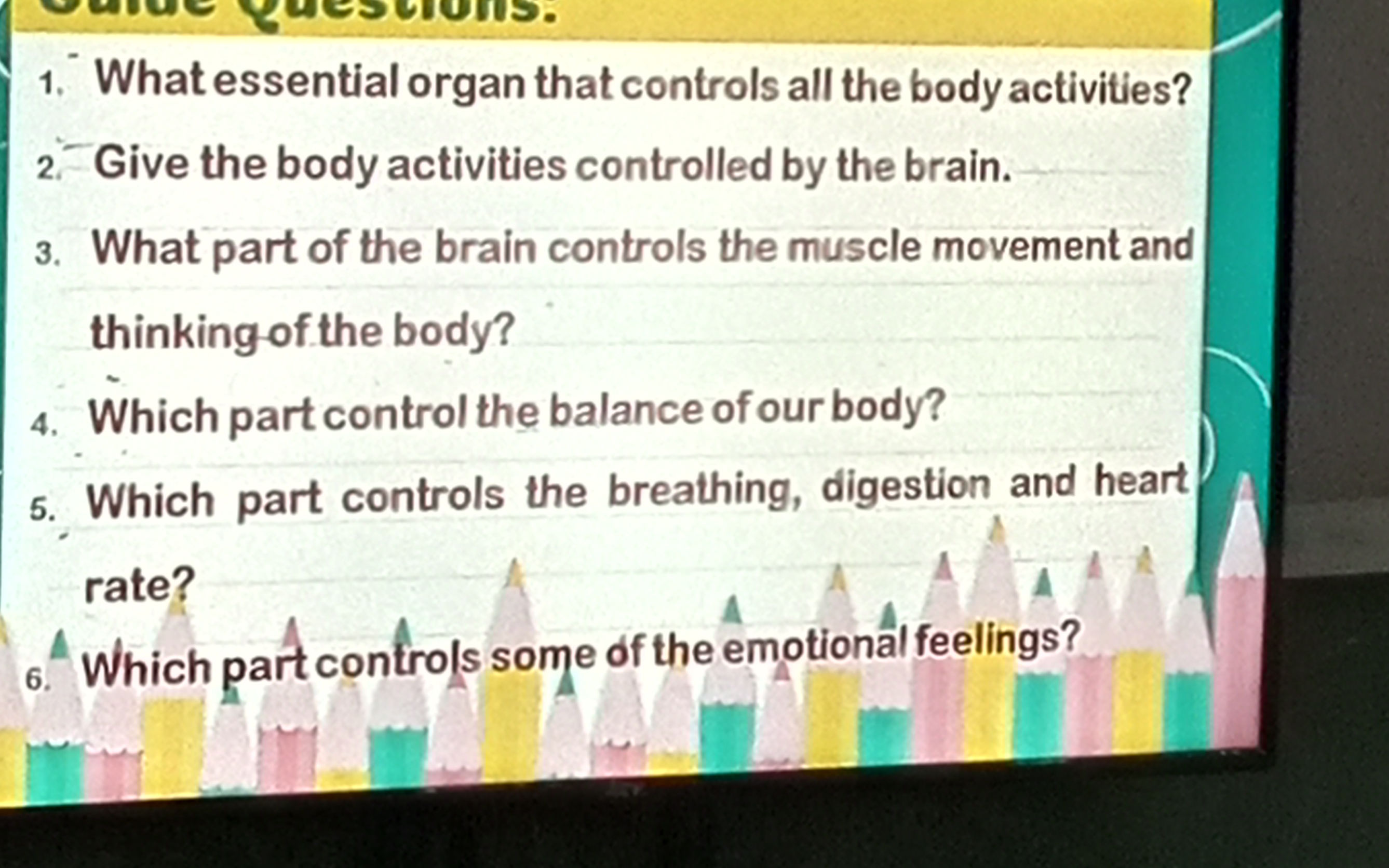 1 What essential organ that controls all the | StudyX