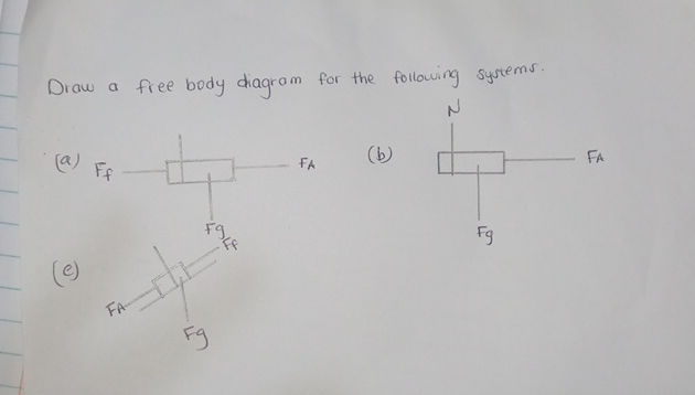 Draw a free body diagram for the following | StudyX