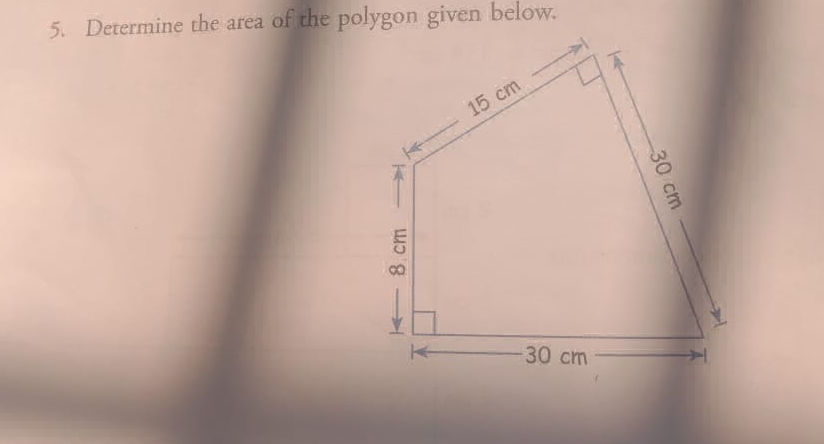 5 Determine the area of the polygon given | StudyX
