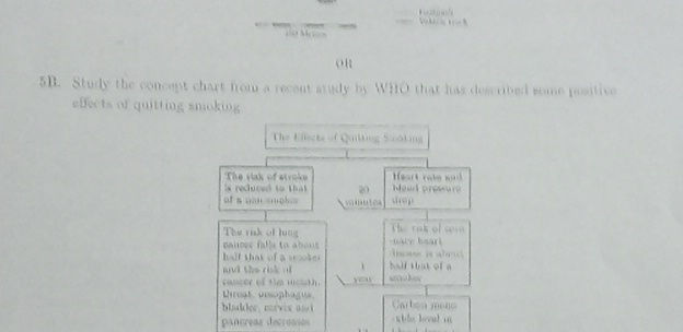 5B Study the concept chart from a recent