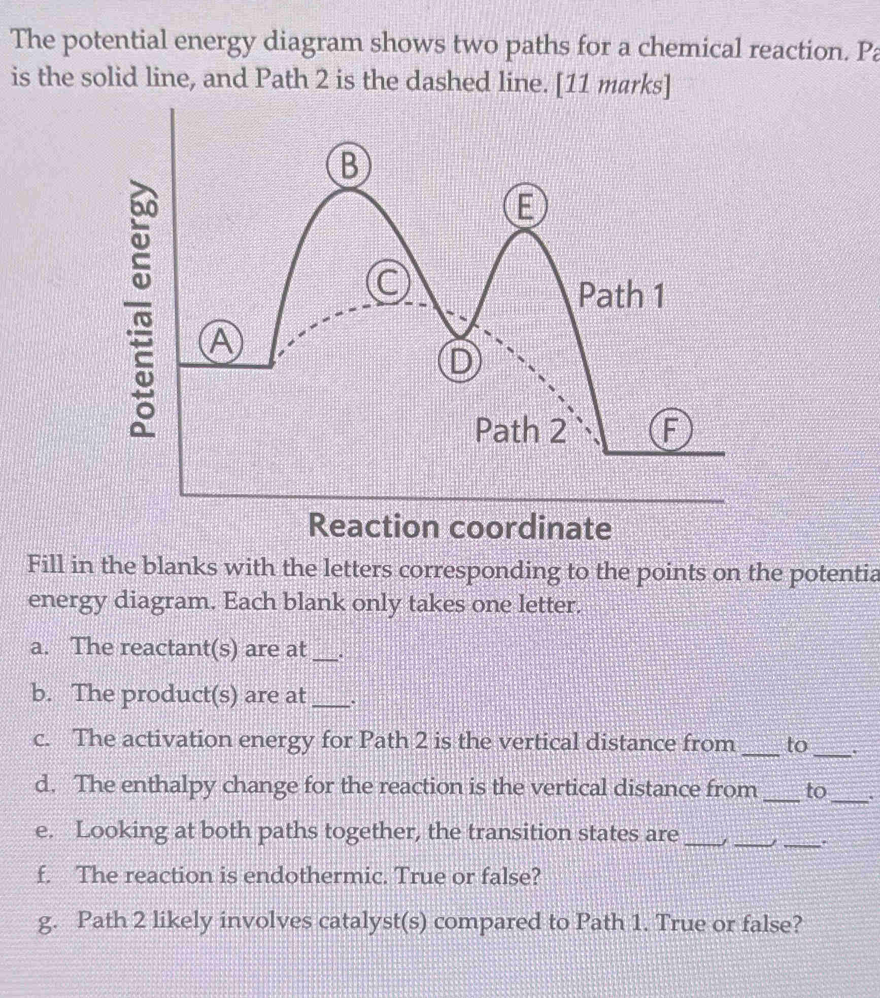 The potential energy diagram shows two paths | StudyX