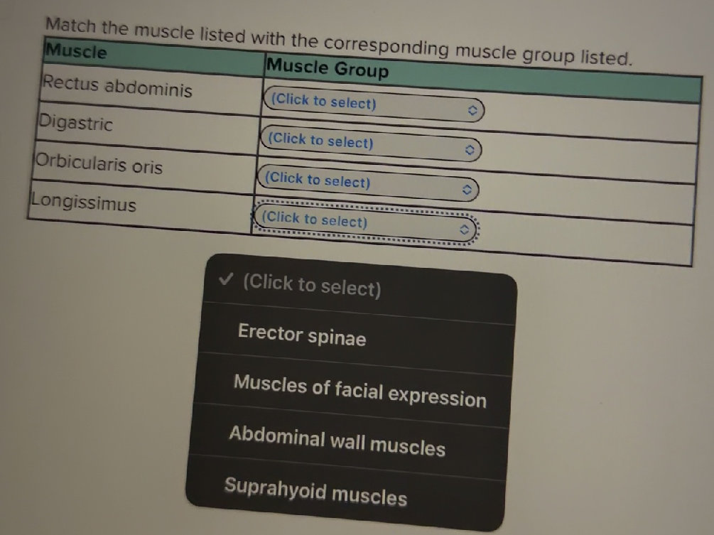 Match the muscle listed with the