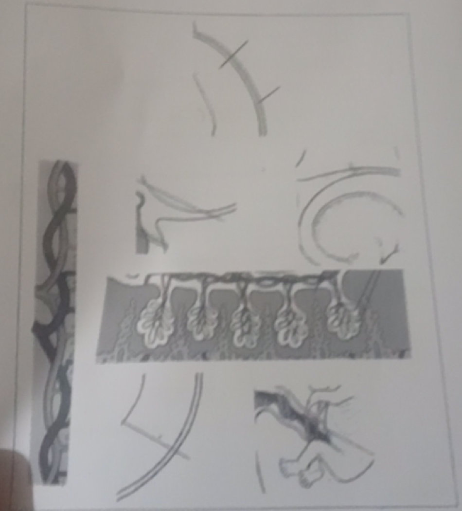 The image displays various biological