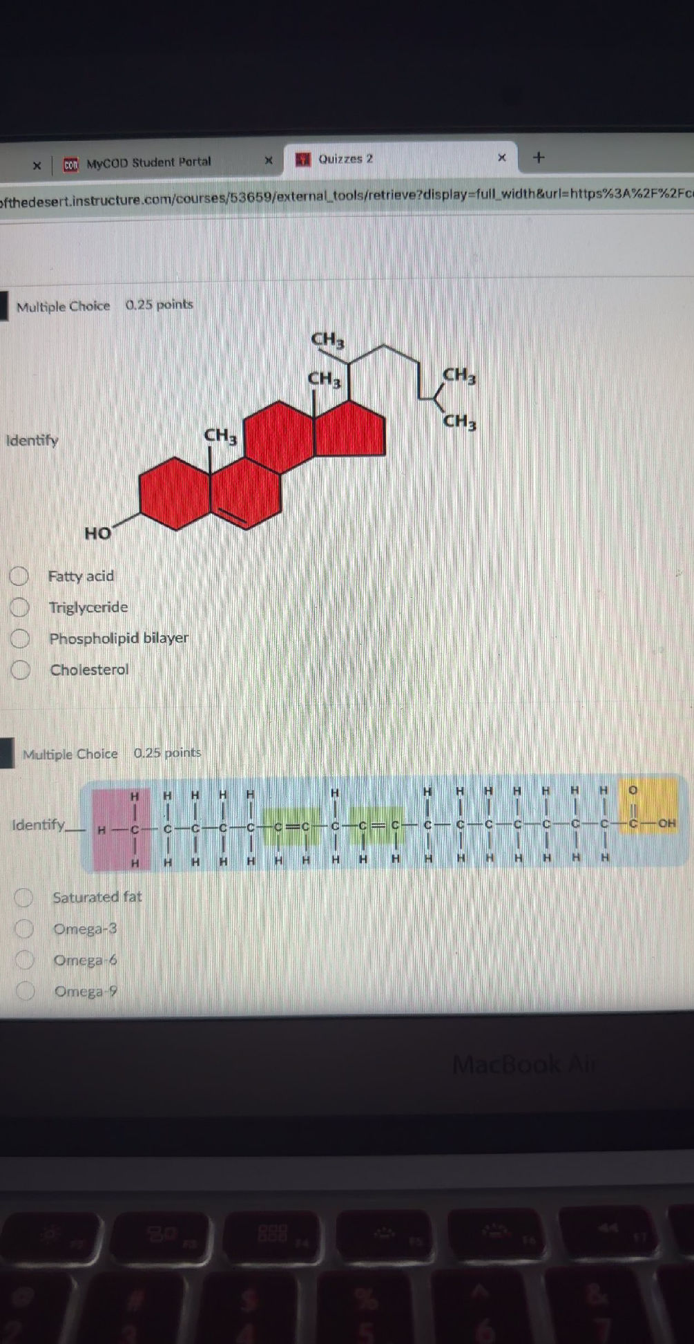 Identify HO CH3 CH3 CH3 CH3 Fatty acid