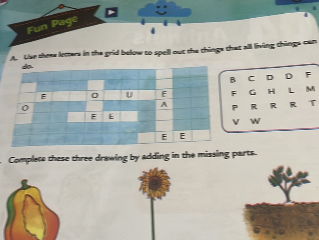 Fun Page A. Use these letters in the grid