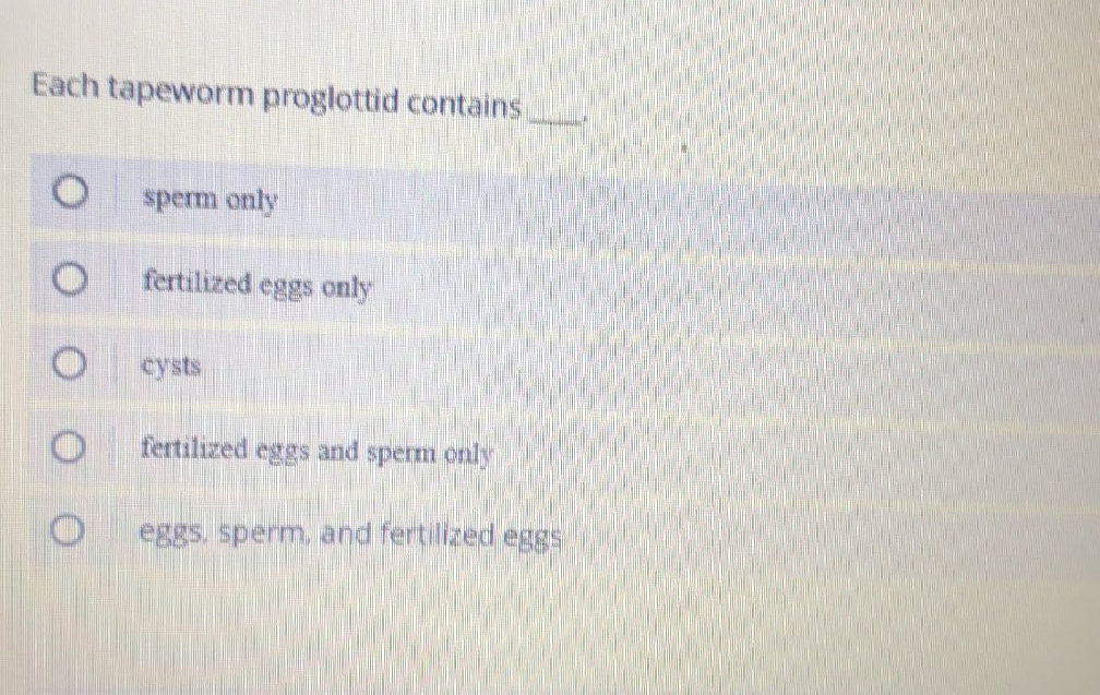 Each tapeworm proglottid contains sperm only