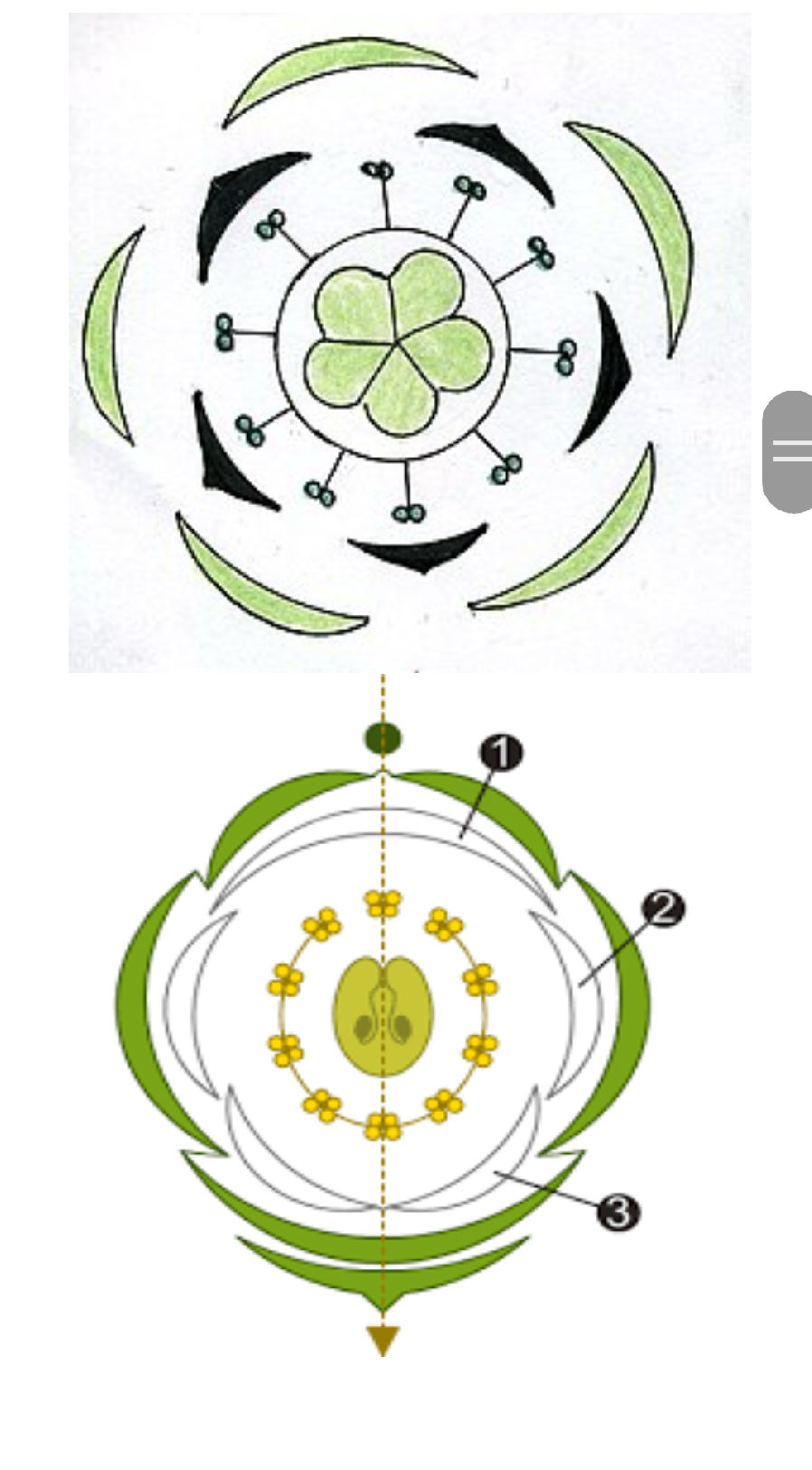 The image displays diagrams representing a