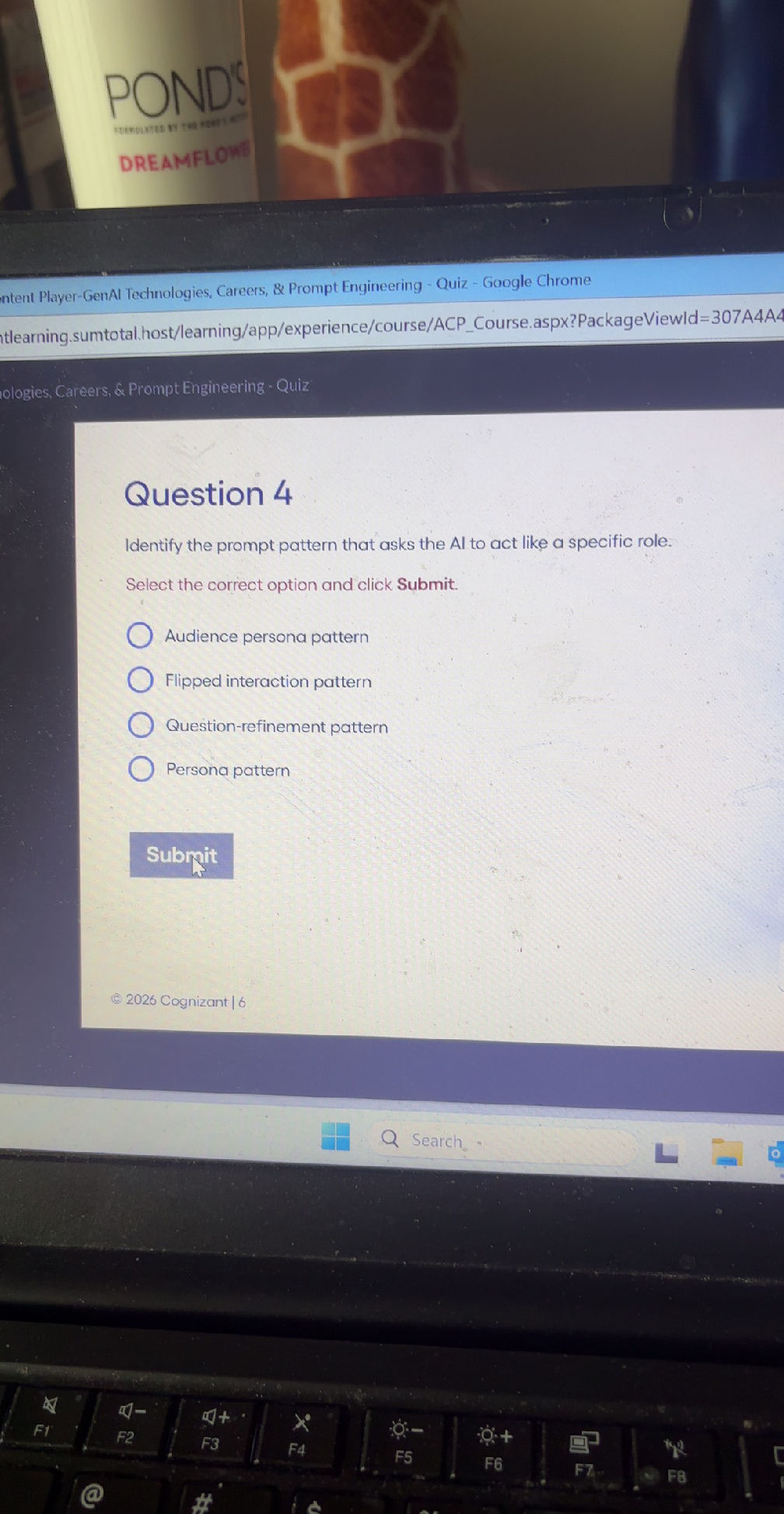 Question 4 Identify the prompt pattern that
