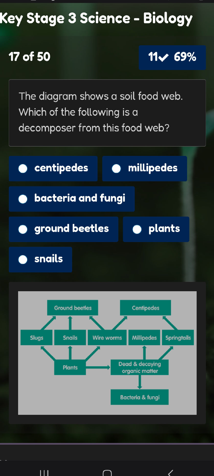 The diagram shows a soil food web. Which of