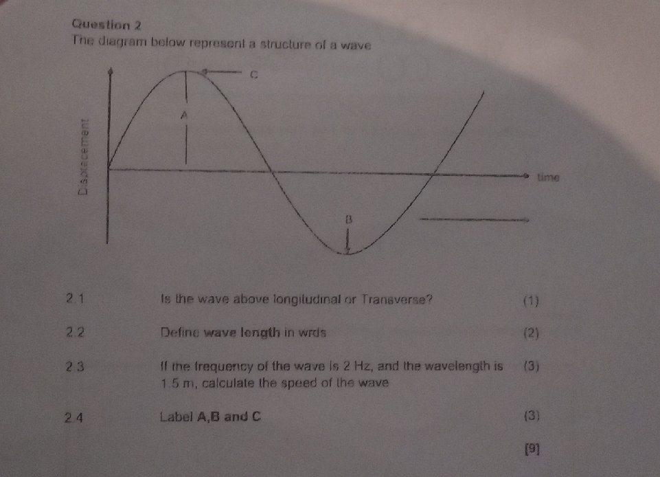 The diagram below represents a structure of | StudyX