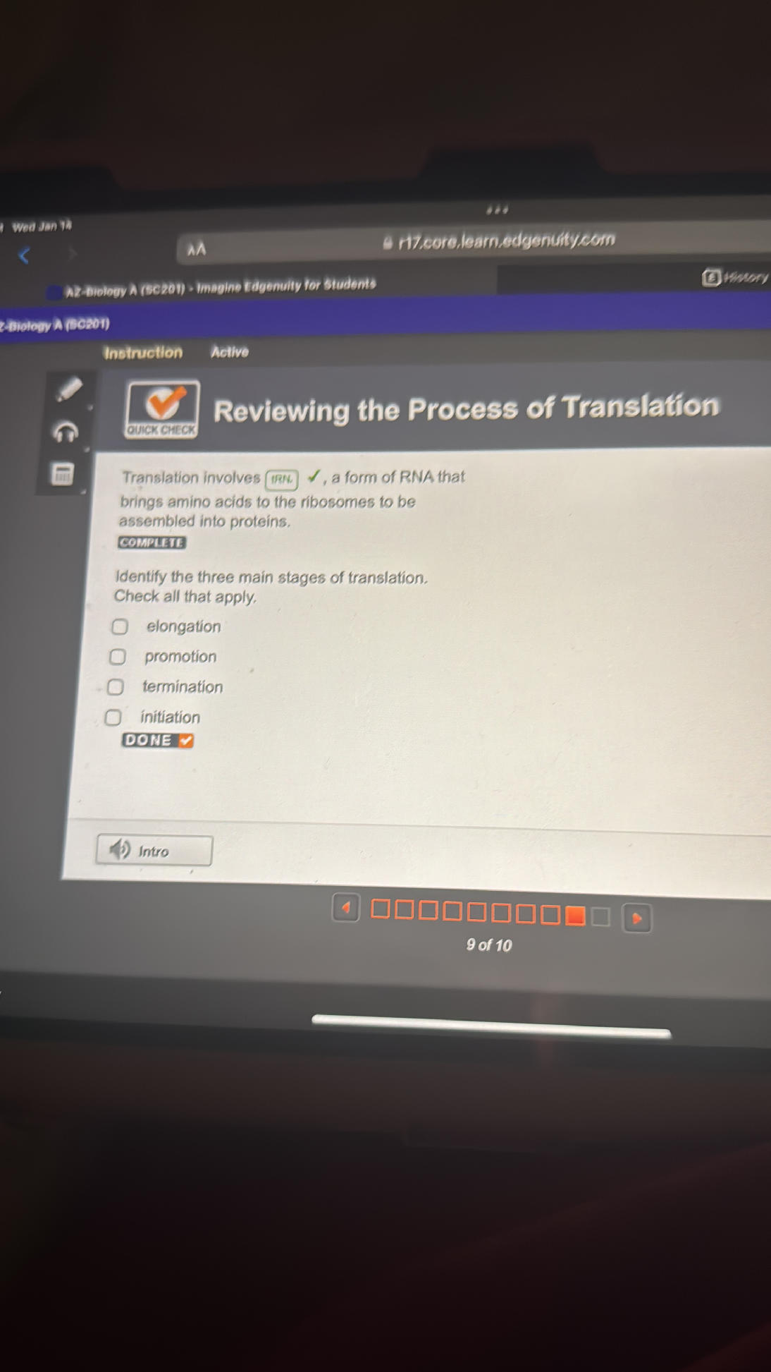 Reviewing the Process of Translation | StudyX