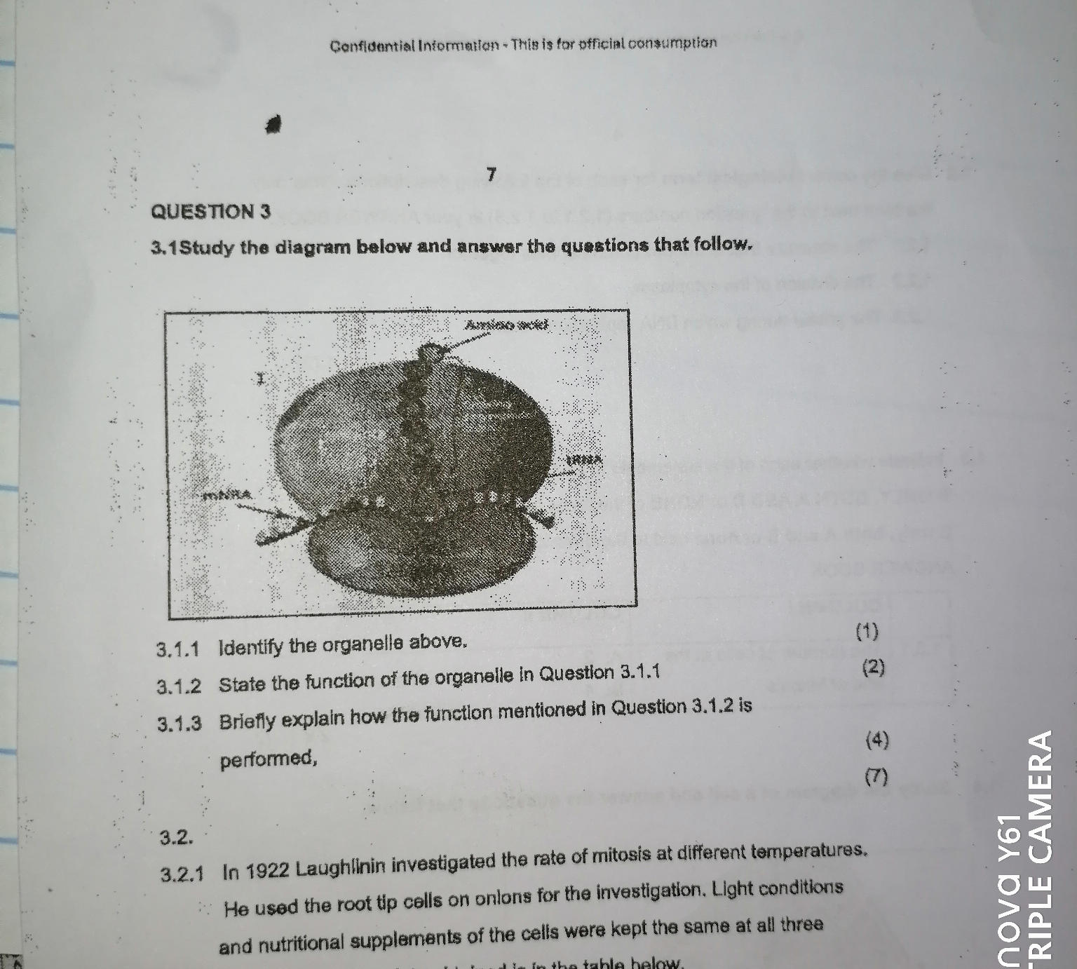 Study the diagram below and answer the | StudyX