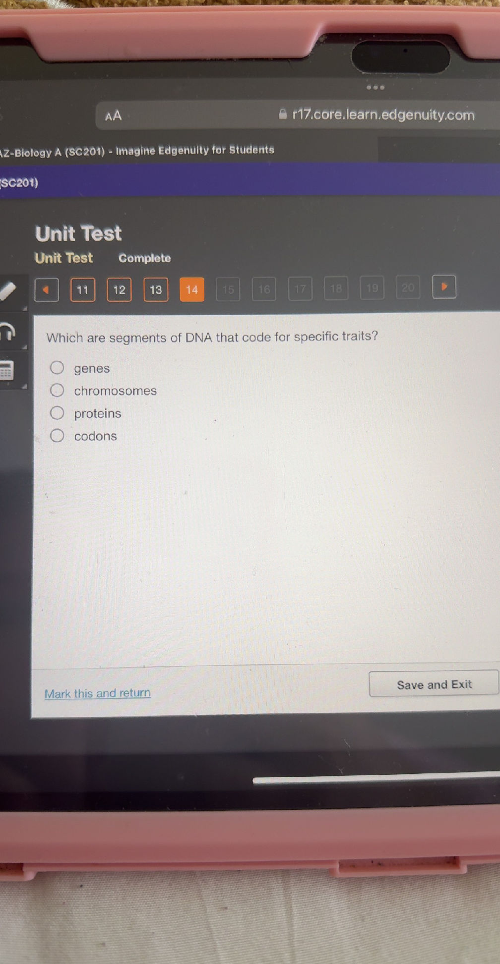 Which are segments of DNA that code for | StudyX
