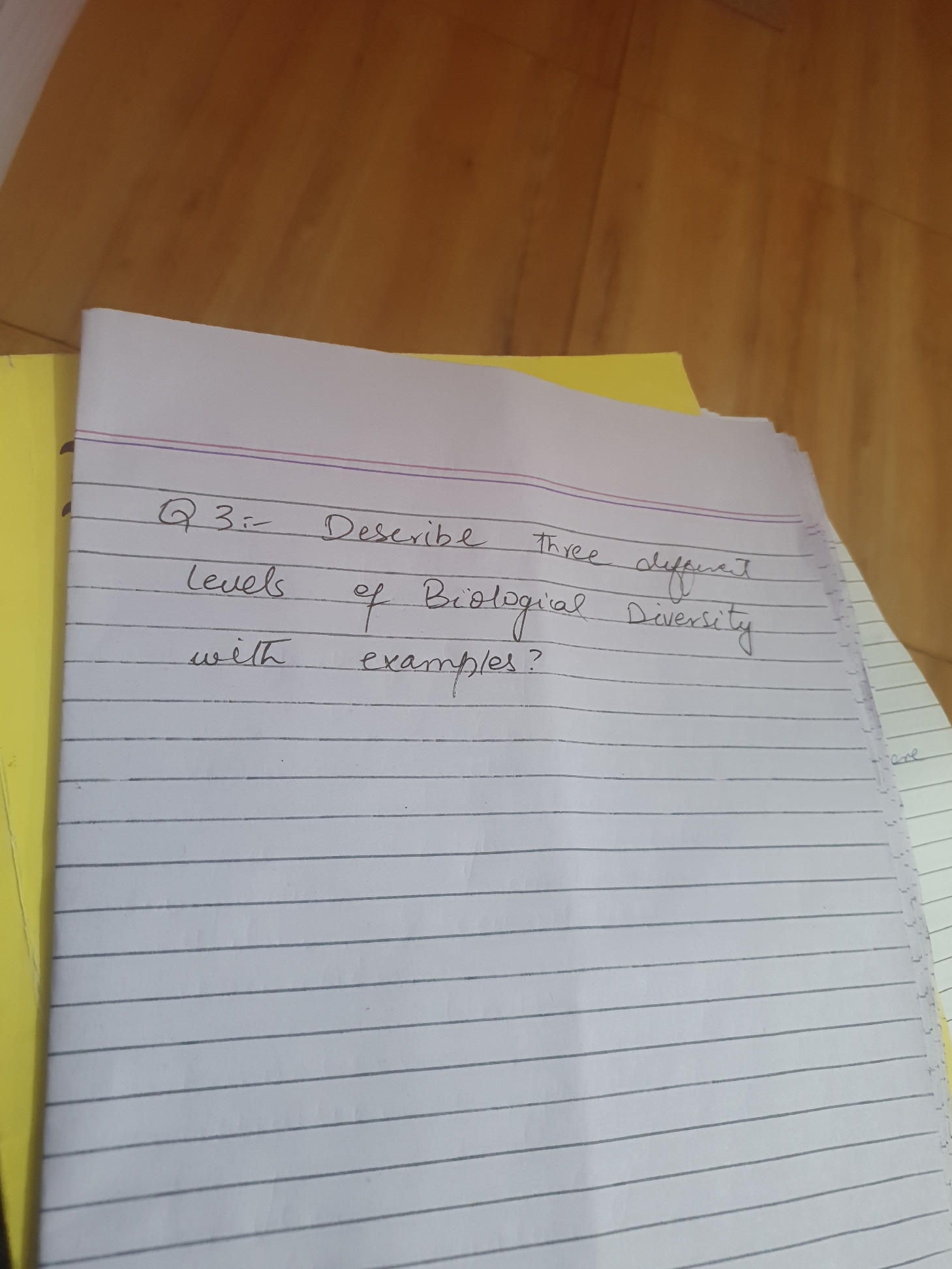 Q 3:- Describe three different levels of | StudyX