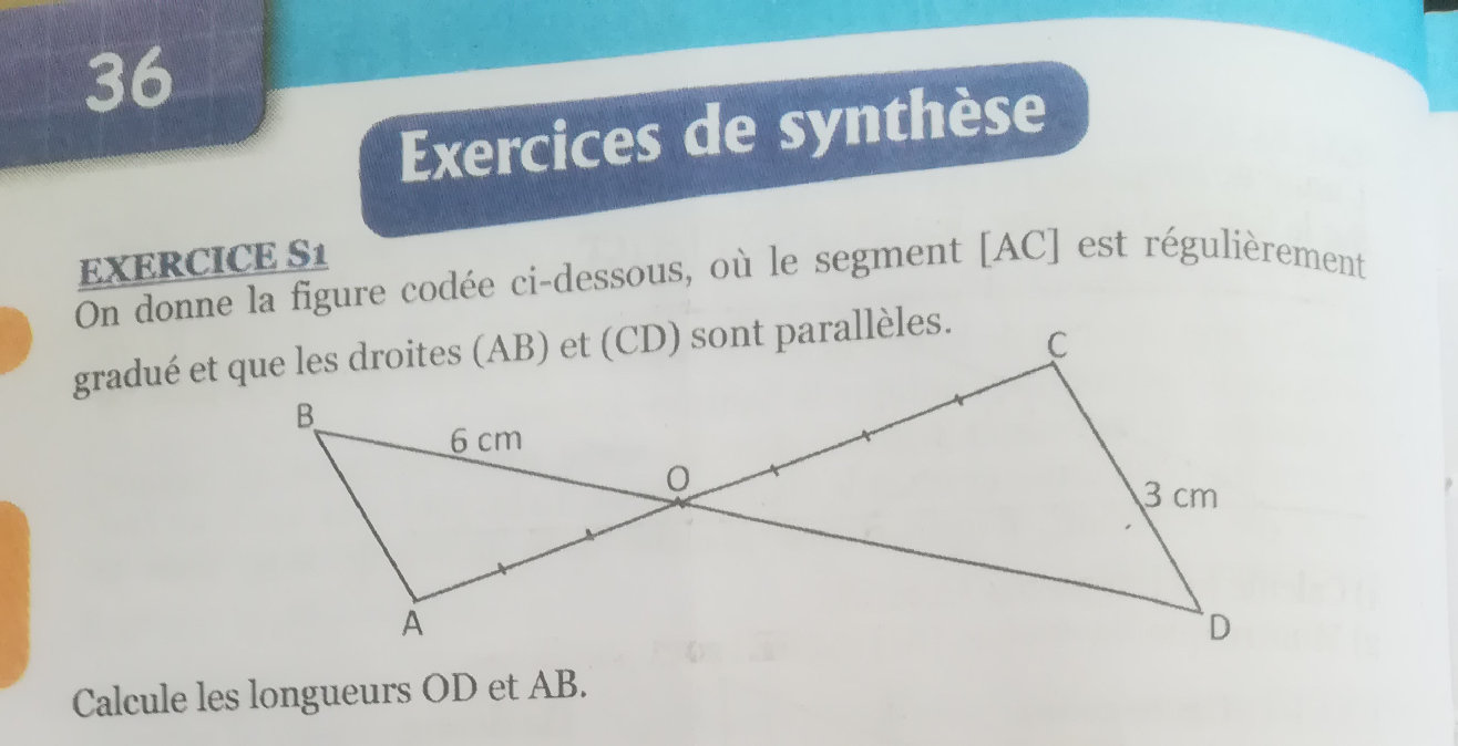 On donne la figure codée ci-dessous, où le | StudyX