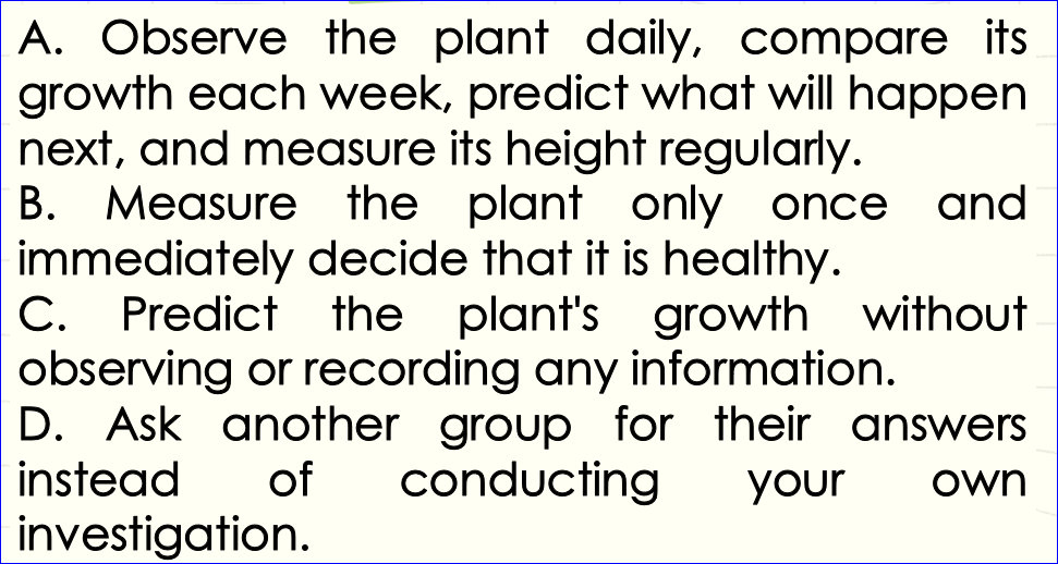 A. Observe the plant daily, compare its
