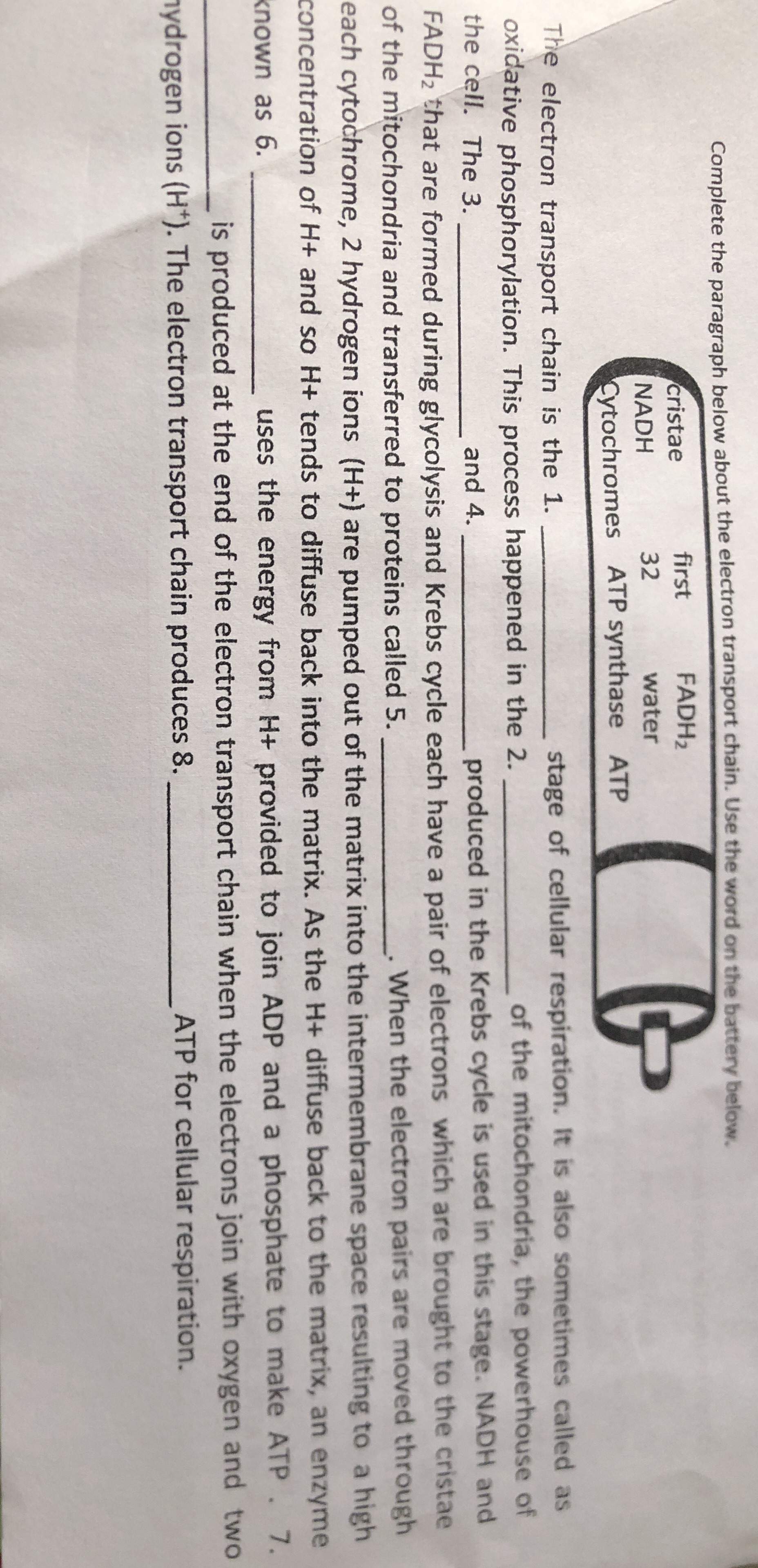 Complete the paragraph below about the | StudyX
