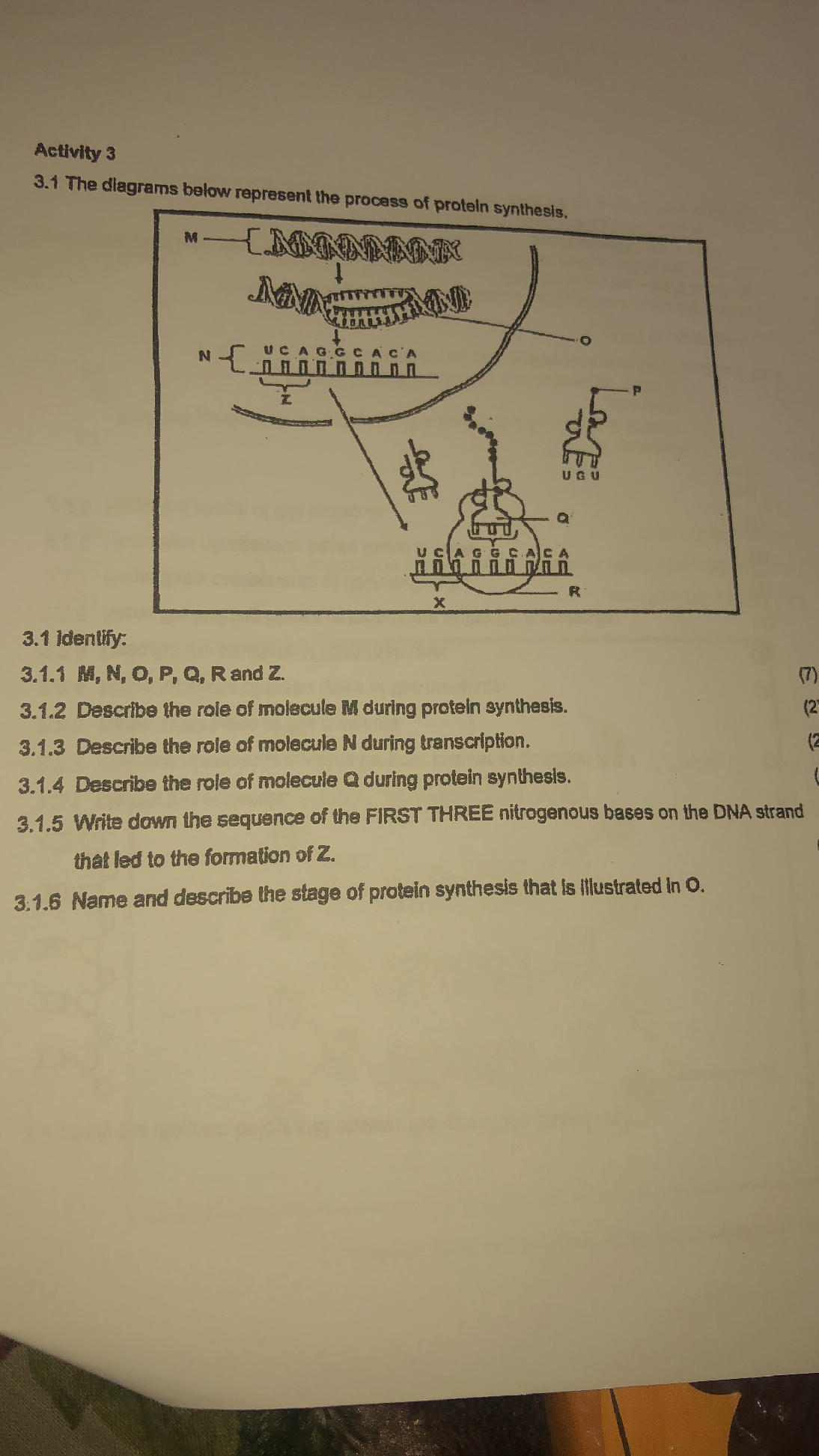 Activity 3 3.1 The diagrams below represent
