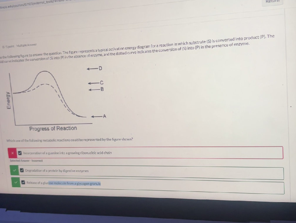 Use the following figure to answer the | StudyX