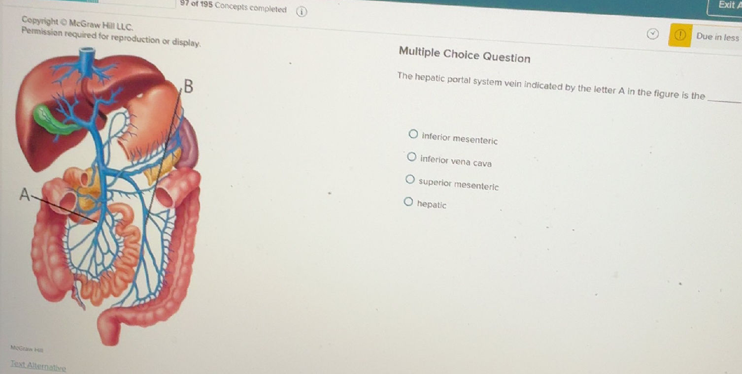 The hepatic portal system vein indicated by | StudyX
