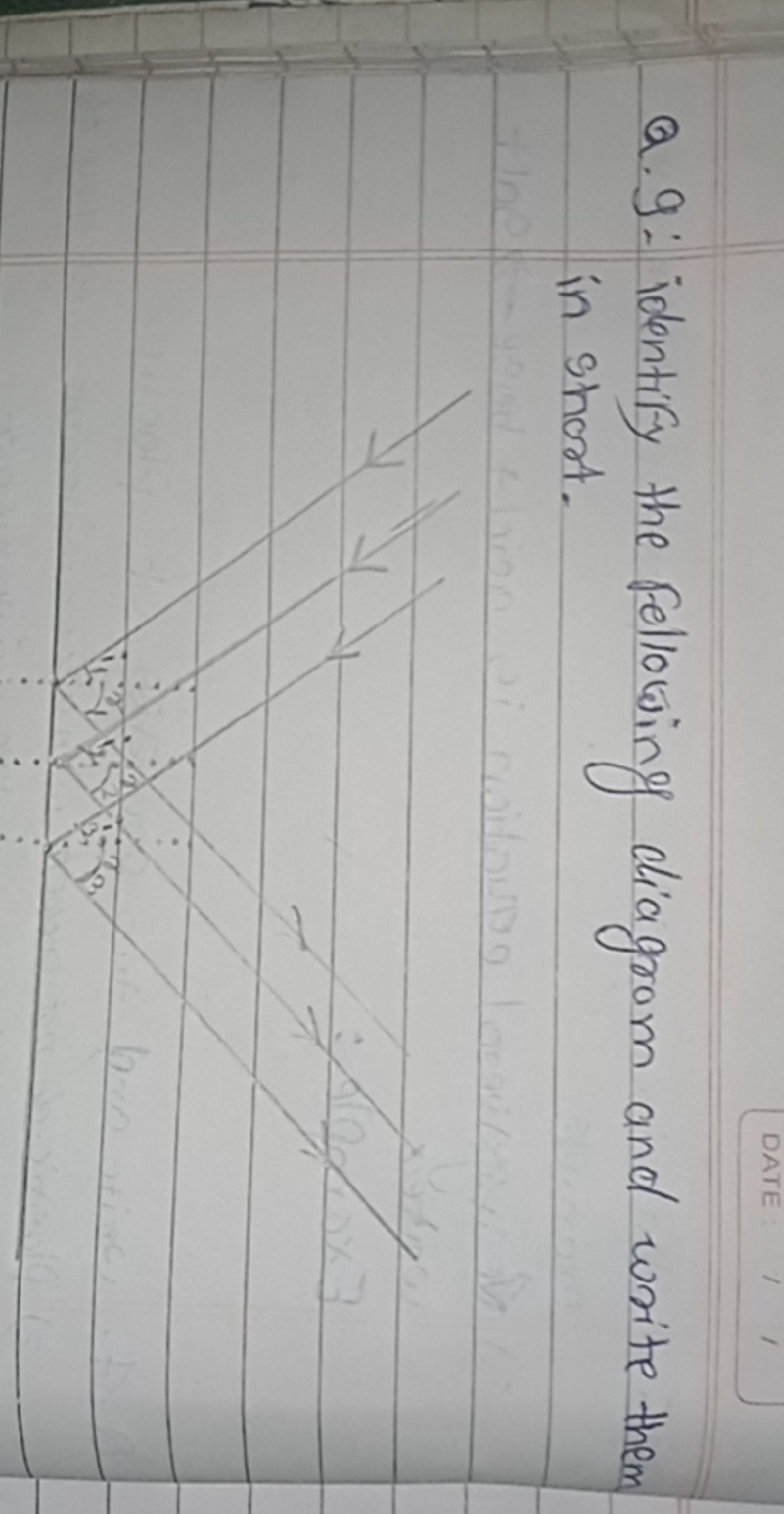 q. 9: Identify the following diagram and | StudyX