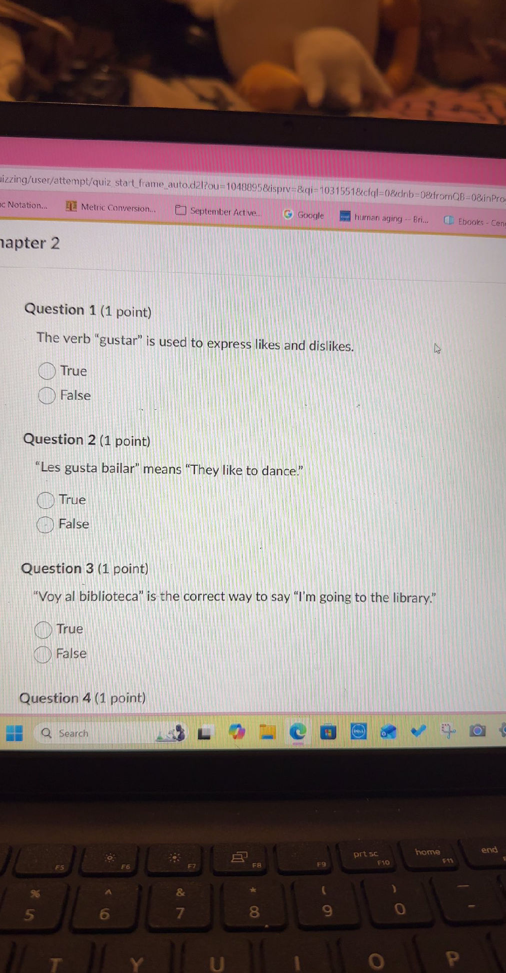 Question 3 (1 point) "Voy al biblioteca" is | StudyX