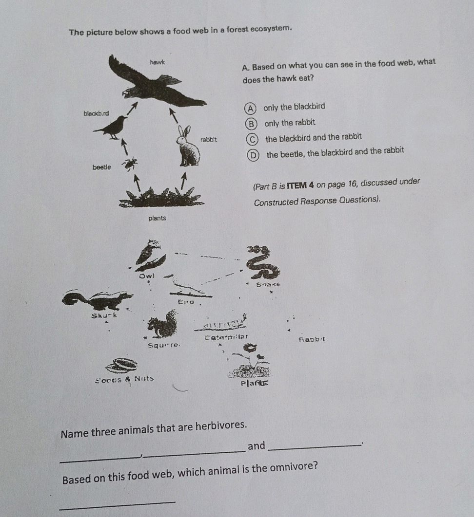 The picture below shows a food web in a | StudyX