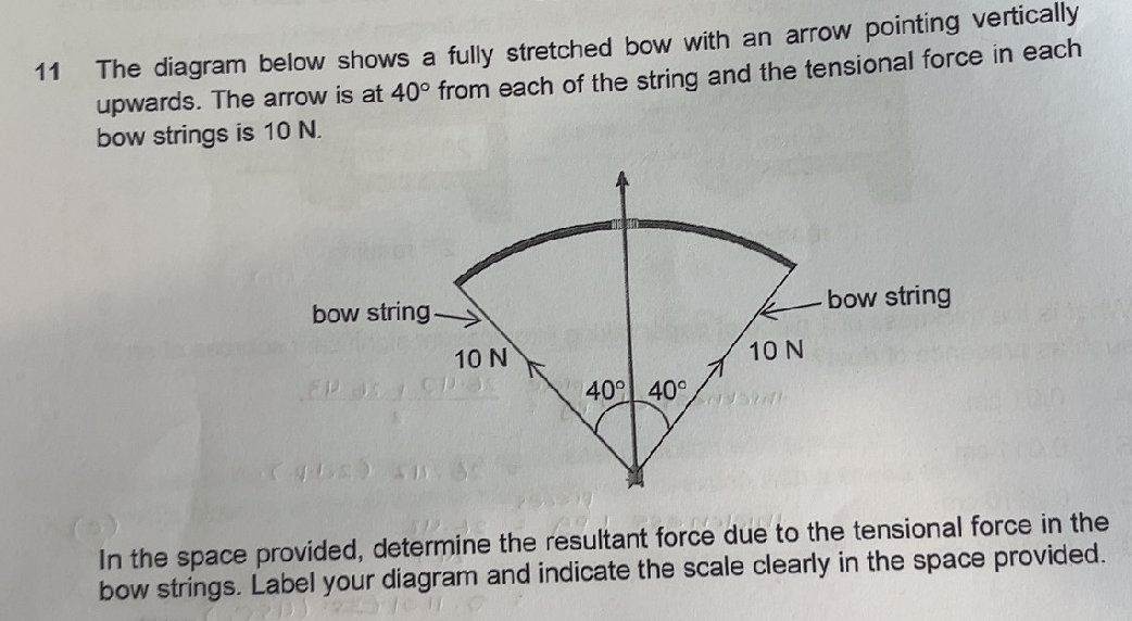 The diagram below shows a fully stretched | StudyX