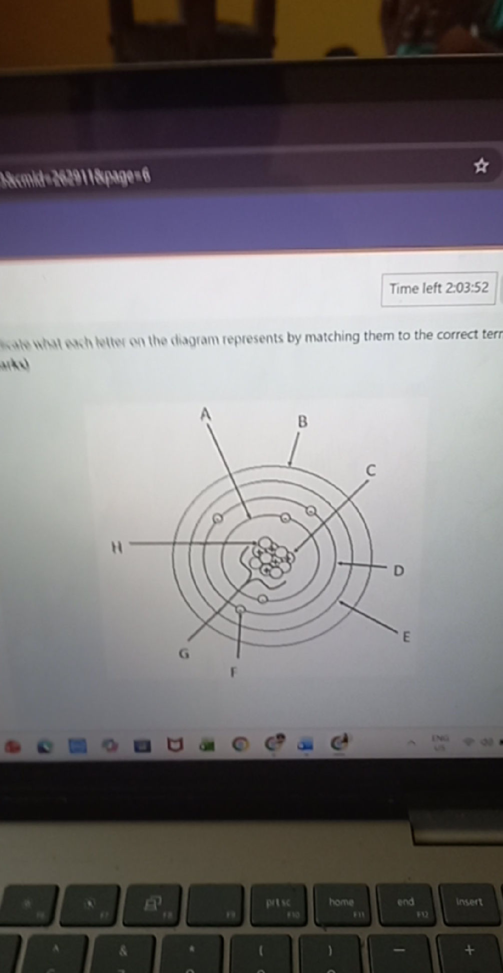 Indicate what each letter on the diagram | StudyX
