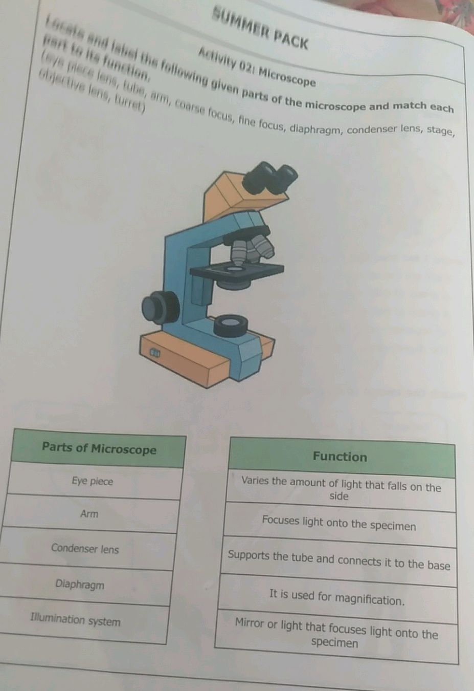 Microscope Matching Locate and label the following given parts | StudyX