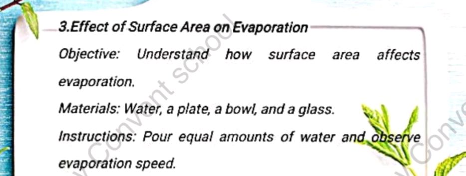 Effect of Surface Area on Evaporation