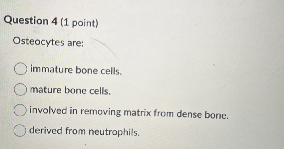 Question 4 (1 point) Osteocytes are: | StudyX