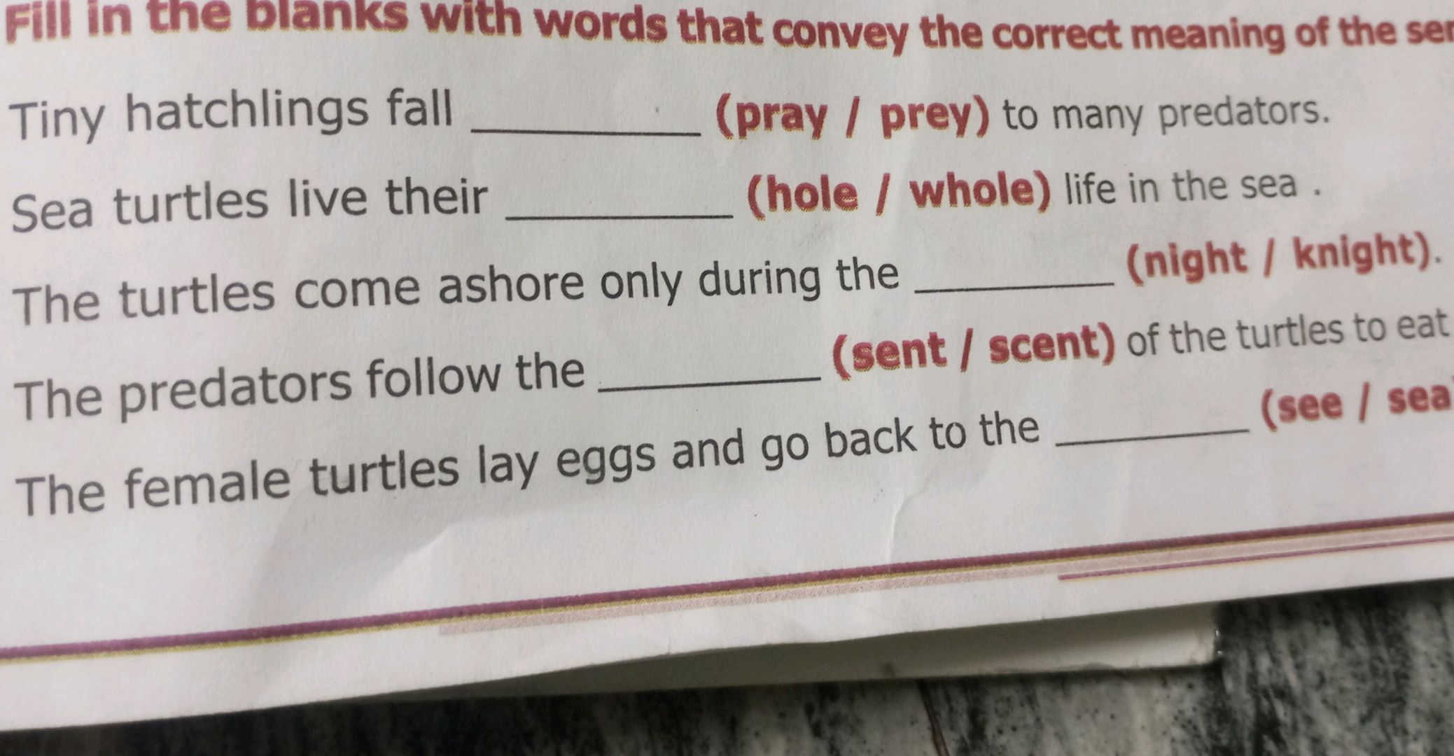 Fill in the blanks with words that convey | StudyX