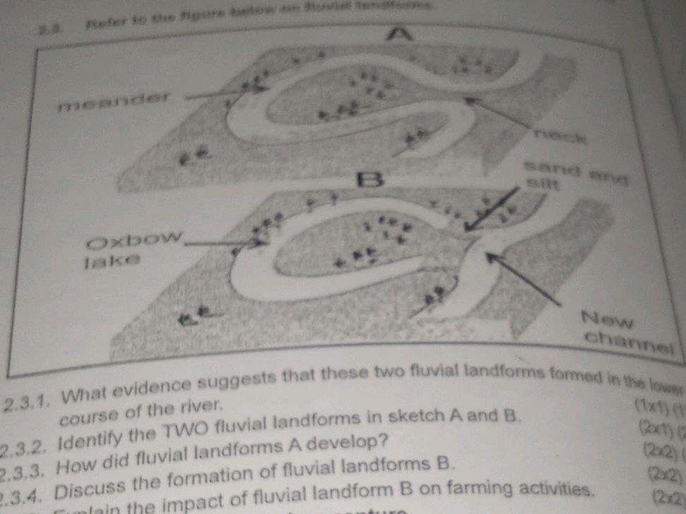 2.3.1. What evidence suggests that these two | StudyX