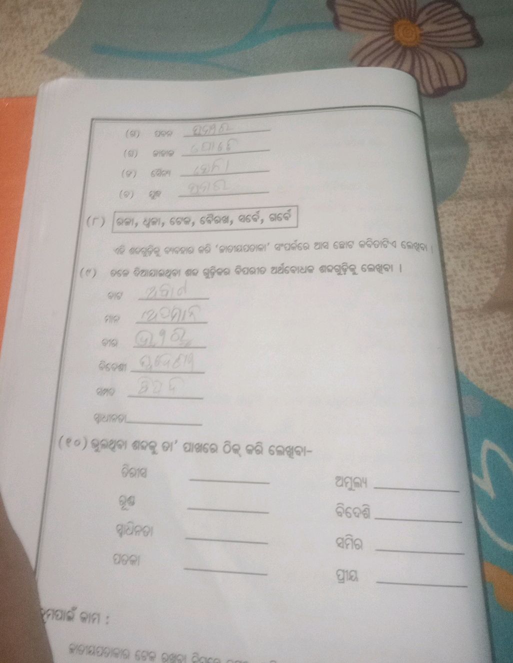 (ଖ) ପବନ (୦) ଜାହାଜ (ଗ) ବୌଦେଶ (ଚ) ଯୁଦ୍ଧ (୮) | StudyX