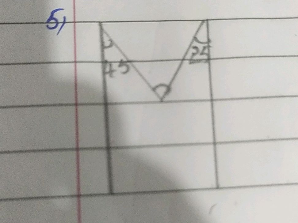 5) Diagram with angles labeled: 45 and 24 | StudyX